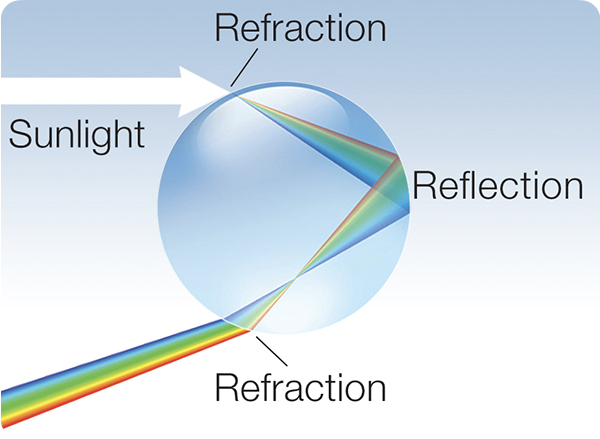 Raindrop Refraction/Reflection